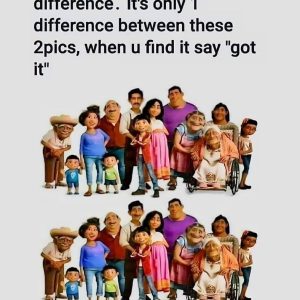Think You’re a Puzzle Pro? Test Your Skills by Spotting the Hidden Difference!
