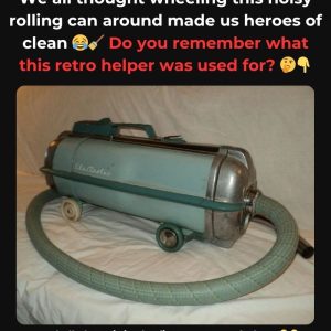 Do You Remember This Unique Domestic Hero? If You Once Counted On Its Reliability, You’ll Feel That Warm Glow; Learn About The Surprising Origins That Defined Its Era