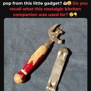 Do You Remember The Small Tool That Made Every Meal Possible? If You’ve Cherished Its Subtle Power, You’ve Lived A Shared Ritual—Uncover Its Surprising Backstory Now