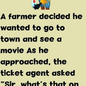 A Day at the Movies… With a Rooster?! A Day at the Movies… With a Rooster?!