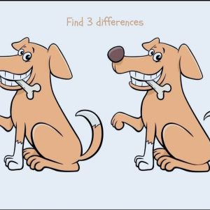 Spot the Differences – Do You Have an Eagle Eye?