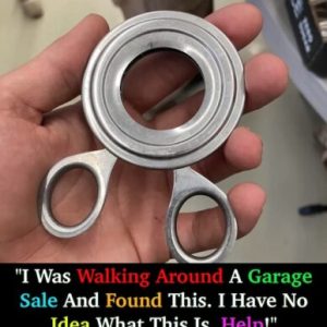 Found this weird metal thing at a garage sale… No clue what it is