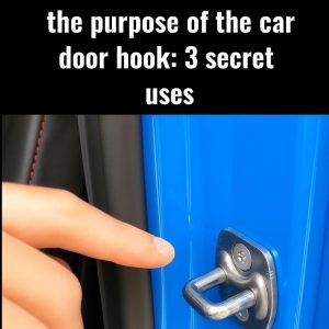 You’ve Seen This in Every Car… But Do You Actually Know What It’s For? You’ve Seen This in Every Car… But Do You Actually Know What It’s For?