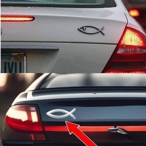 The Hidden Meaning Behind This Quiet Little Symbol on the Road