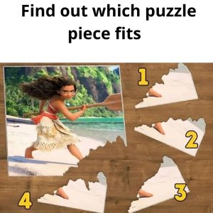 Someone tore a corner of the picture. Find the right piece