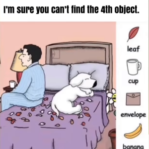 Find the Hidden Objects: How a Leaf, Cup, Envelope, and Banana Can Train Your Brain