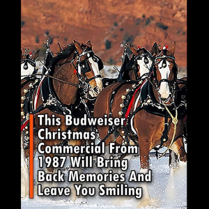 This Budweiser Christmas Commercial From 1987 Will Bring Back Memories And Leave You Smiling This Budweiser Christmas Commercial From 1987 Will Bring Back Memories And Leave You Smiling