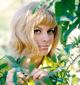 She Was Everywhere in the ’60s—Then One Photo Launched Her Beyond Earth