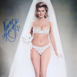 Brains, Beauty, and the Bright Lights of Hollywood