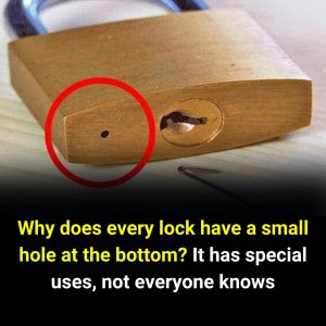 Why Every Padlock Has a Tiny Hole at the Bottom (And It’s Not Just Decoration) Why Every Padlock Has a Tiny Hole at the Bottom (And It’s Not Just Decoration)