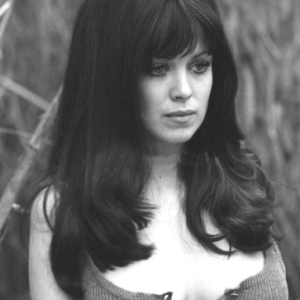 The Stunning Screen Siren Who Stole Hollywood’s Heart. Can you guess who she is?