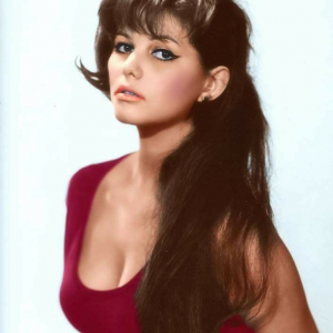 The Untamed Beauty Who Defied All Odds and Became a Legend