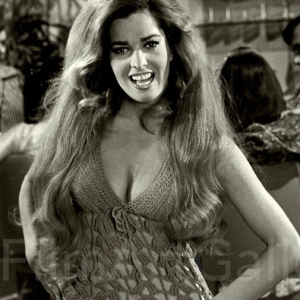 The Smoldering Playboy Icon Who Defined Bold Beauty in the Sixties
